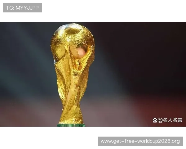 2026年世界杯西班牙对佛得角比赛票务购买及现场观赛注意事项